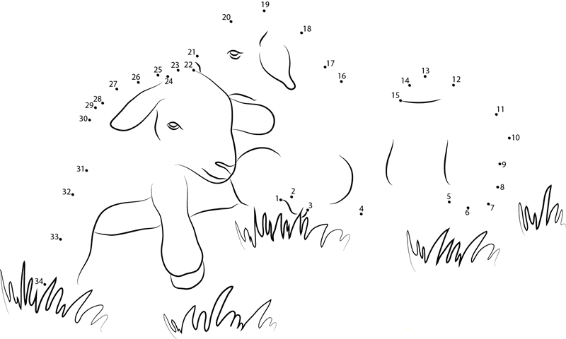 Baby Lamb dot to dot worksheets