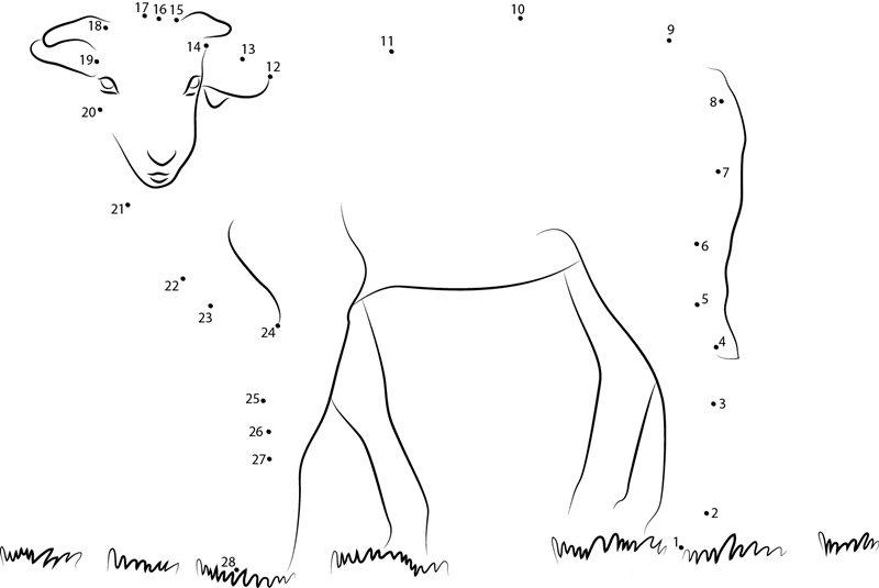 Lamb Look printable dot to dot worksheet