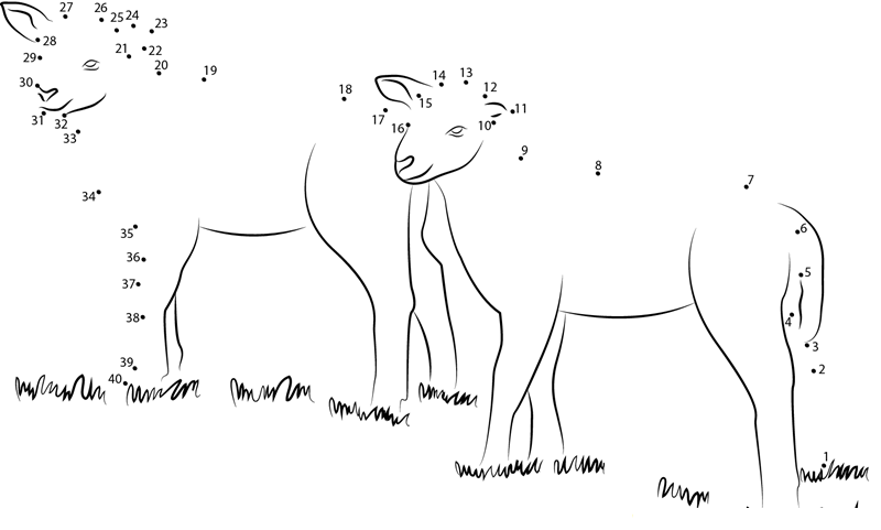 Lamb Look At dot to dot worksheets