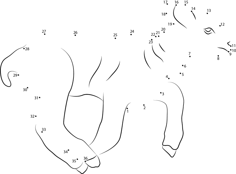 Lamb Race printable dot to dot worksheet