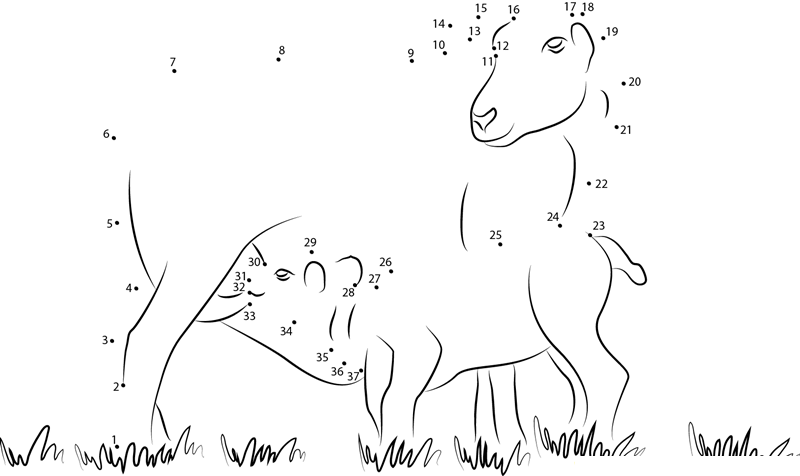 Lamb Suckling From Its Mother printable dot to dot worksheet