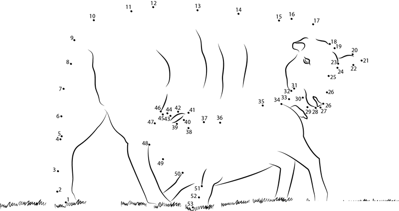 Lambs Feeding dot to dot worksheets