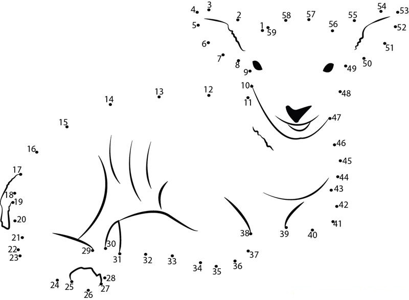 Sweet Smile Of Lamb printable dot to dot worksheet