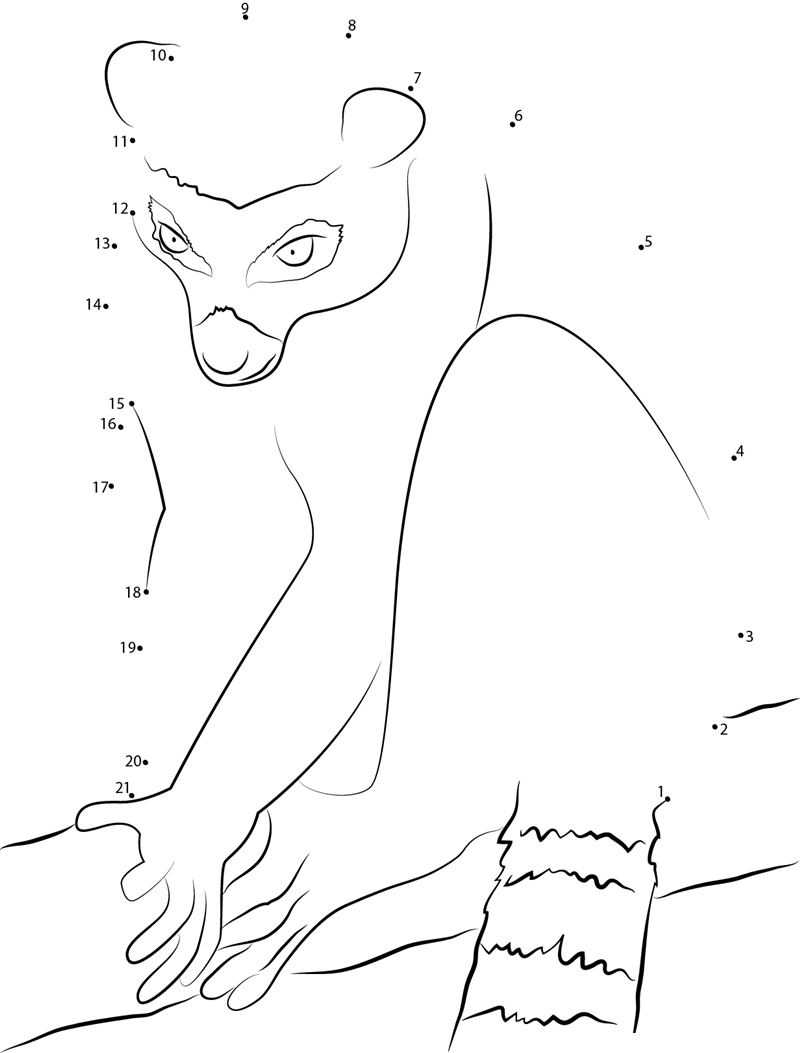 Lemur Look At dot to dot worksheets