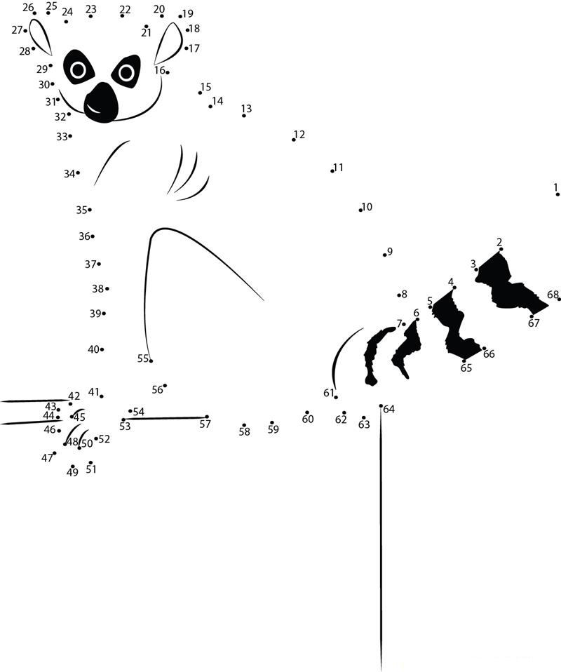 Lemur Tough Look dot to dot worksheets