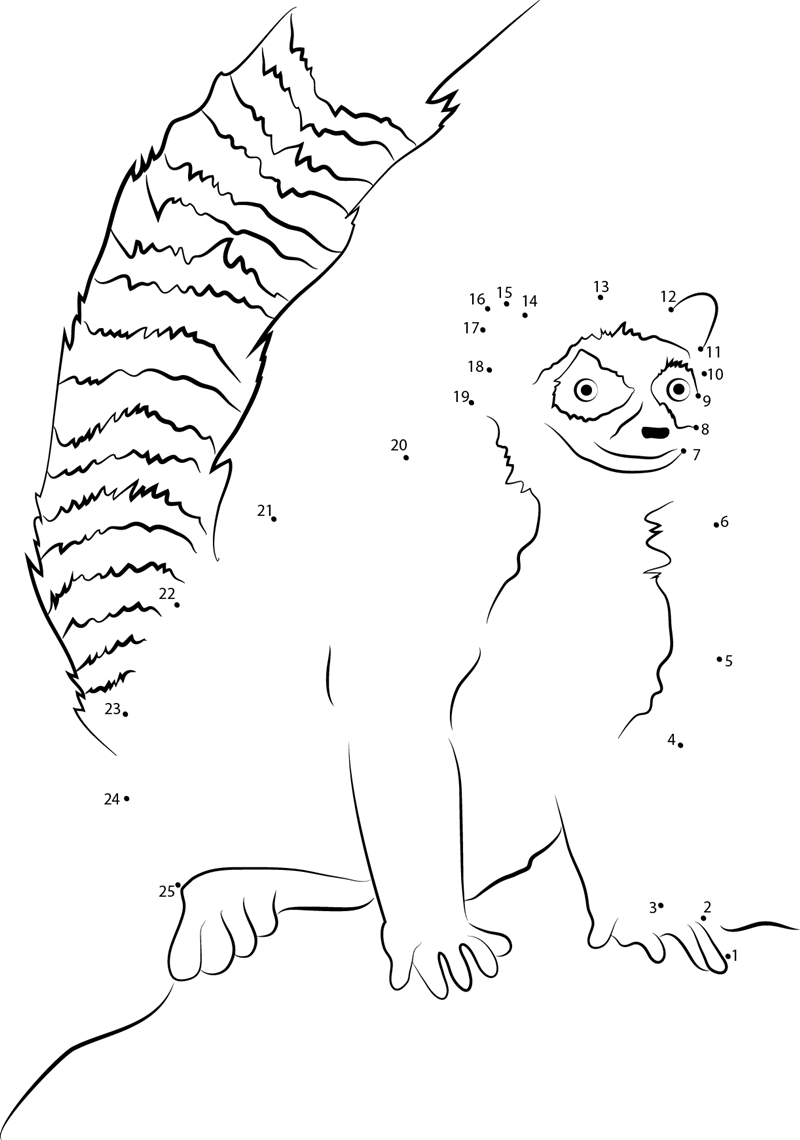 Ring Tailed Lemur Sitting On Rock dot to dot worksheets