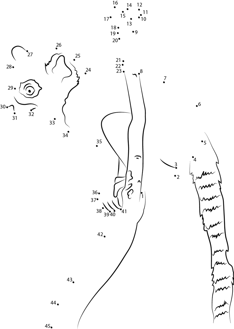 Ring Tailed Lemur The Youngest dot to dot worksheets