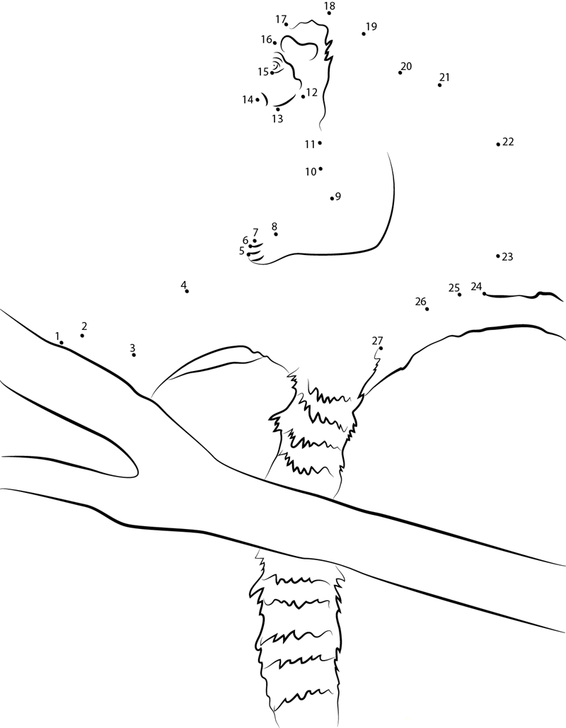 Ring Tailed Lemur With Long Tail printable dot to dot worksheet