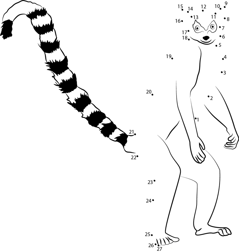 Standing Ring Tailed Lemur Berenty printable dot to dot worksheet