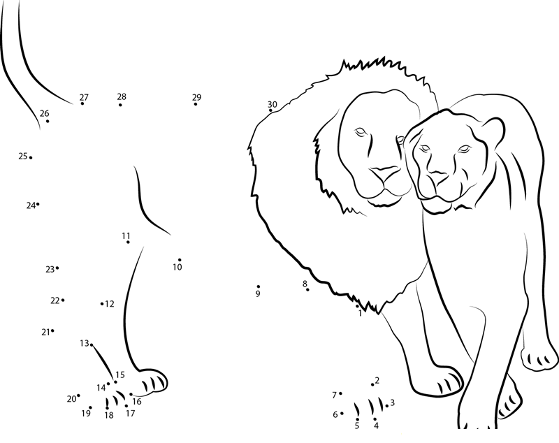 Lion Loves Each Other dot to dot worksheets