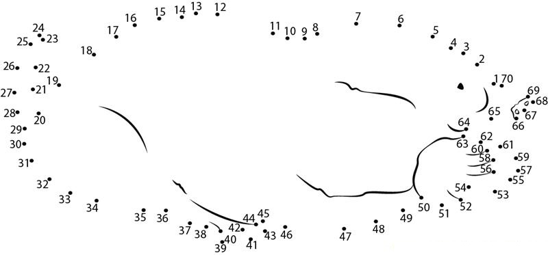 Cute Mole dot to dot worksheets