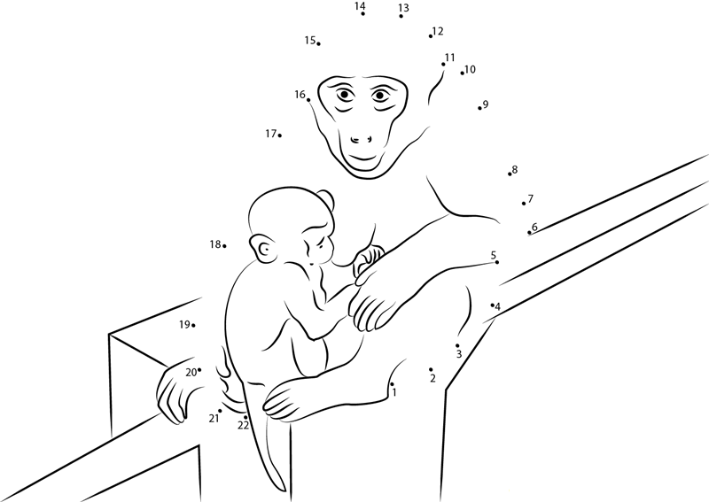 Baby Monkey With Mother dot to dot worksheets