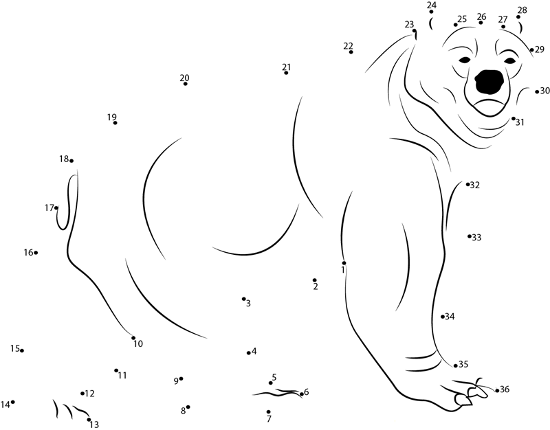 Kodiak Bear dot to dot worksheets