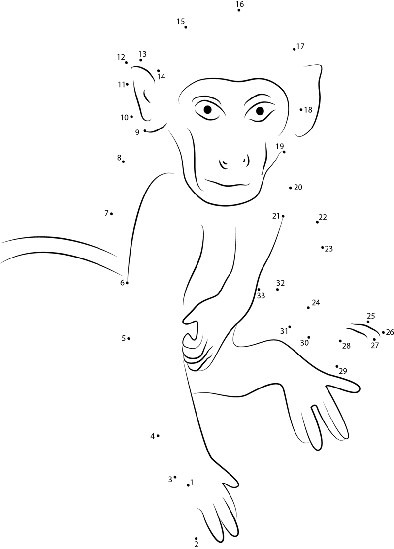 Monkey Close Up printable dot to dot worksheet