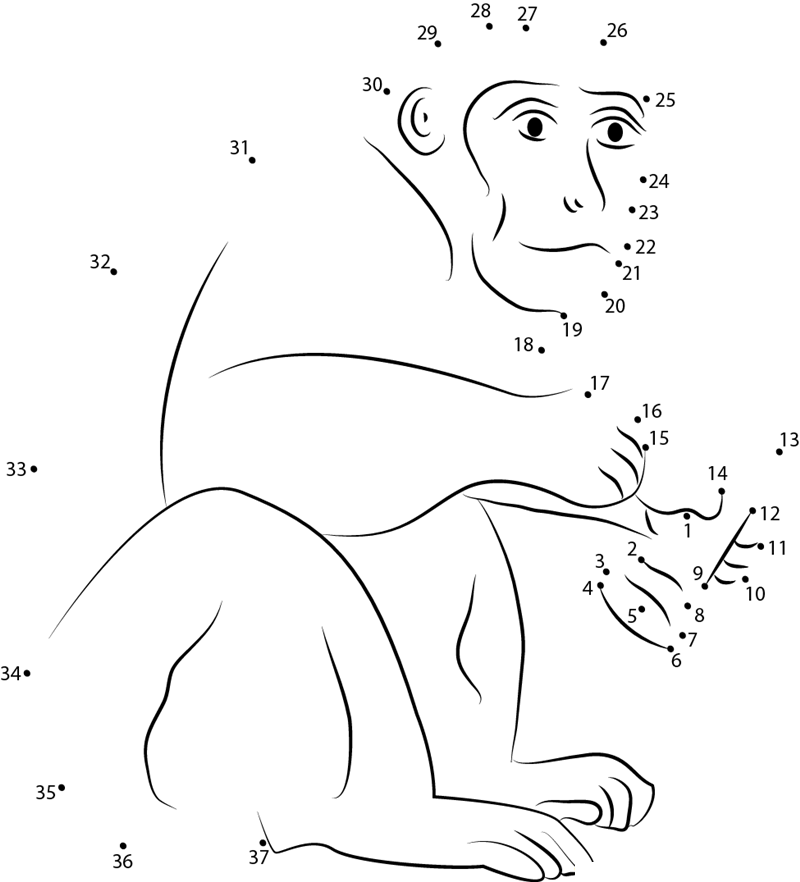 Monkey Having Ice Cream printable dot to dot worksheet