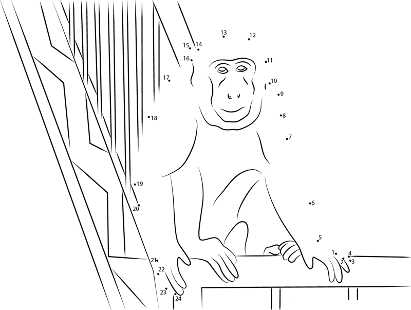 Monkey In Gallery dot to dot worksheets