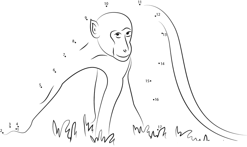 Monkey Look U dot to dot worksheets