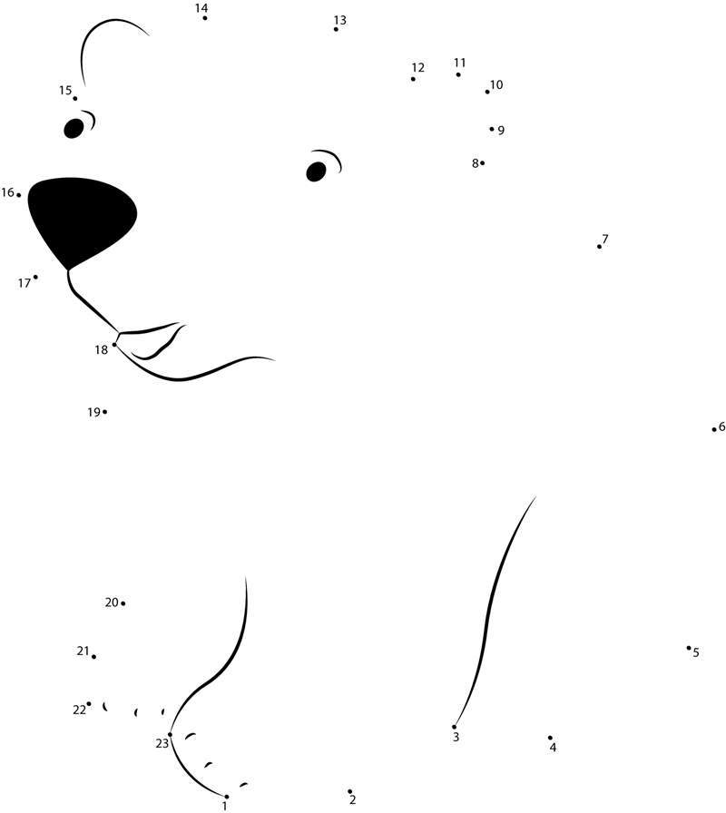 Baby Polar Bear printable dot to dot worksheet