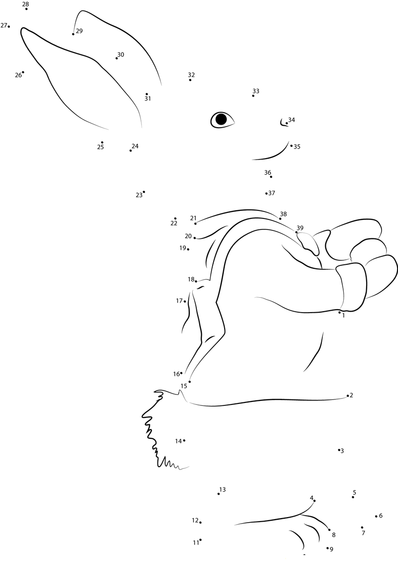 Peter Rabbit printable dot to dot worksheet