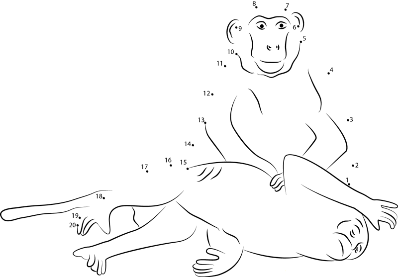 Two Monkey dot to dot worksheets