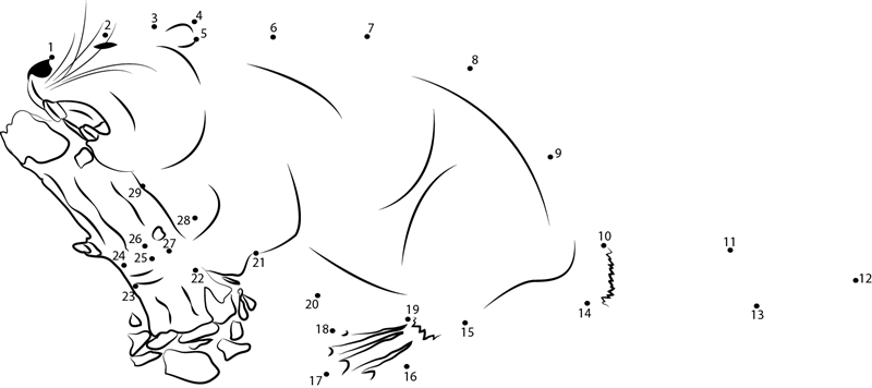 Beaver Cutting A Tree dot to dot worksheets