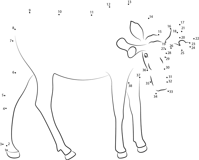 Bull Moose printable dot to dot worksheet