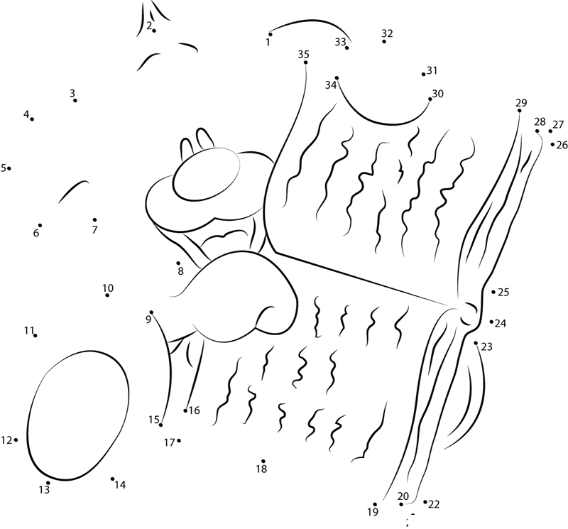 Pimboli Bear Reading A Book printable dot to dot worksheet