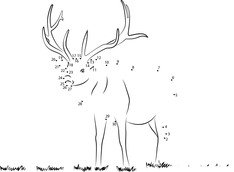 Moose At Look printable dot to dot worksheet