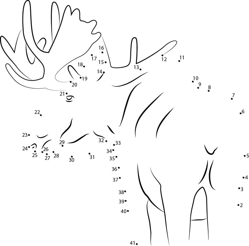 Moose Back Look dot to dot worksheets