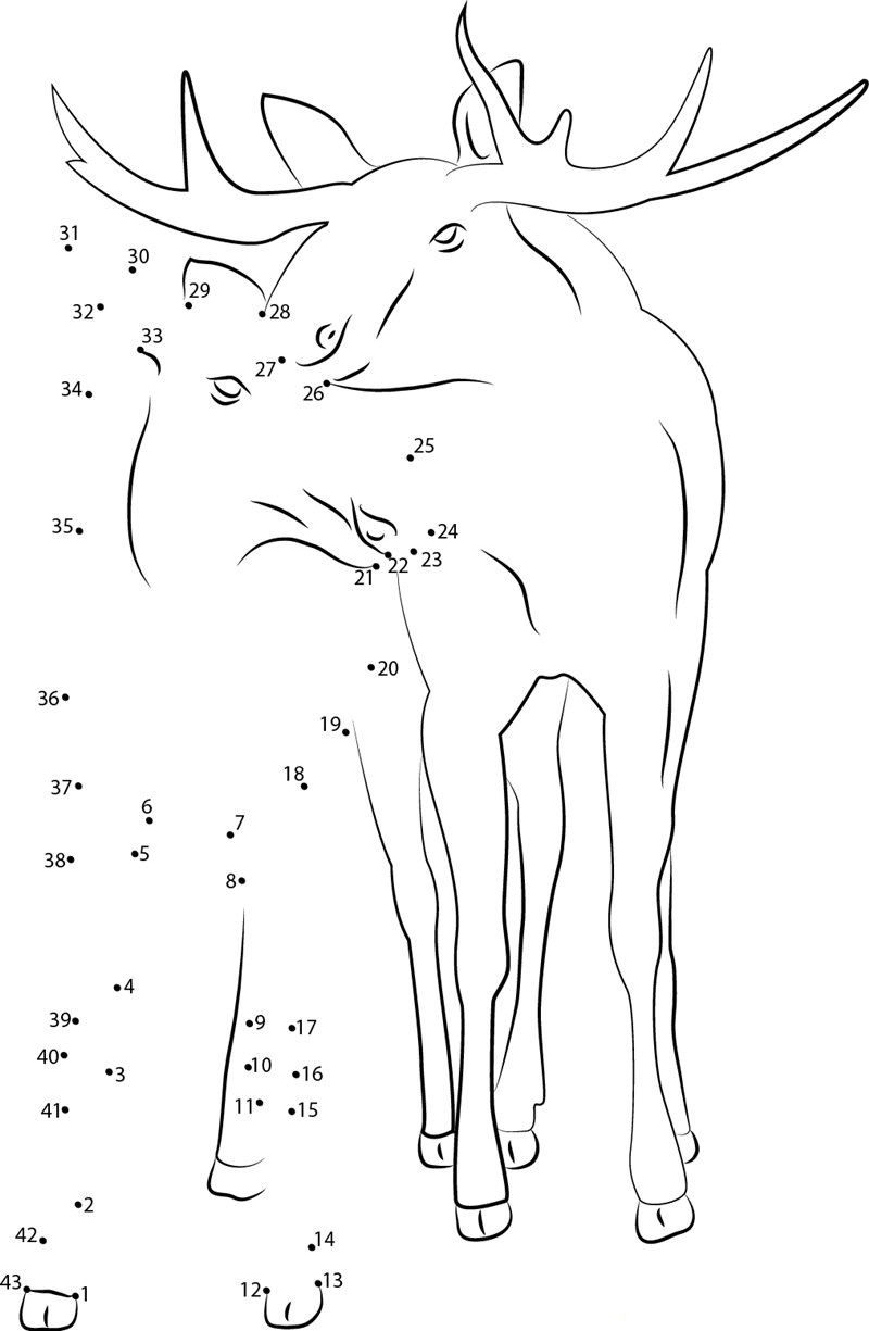 Moose Couple dot to dot worksheets