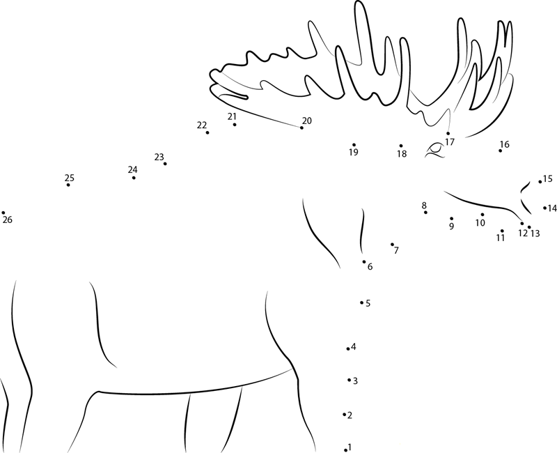 Moose Eating printable dot to dot worksheet