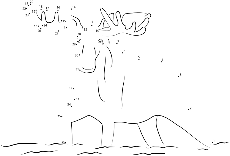 Moose In The River printable dot to dot worksheet