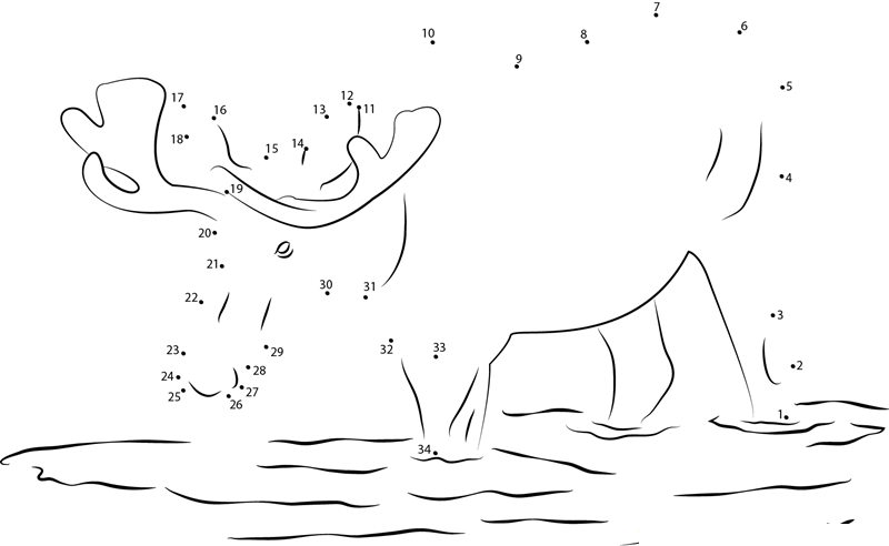 Moose In Water dot to dot worksheets