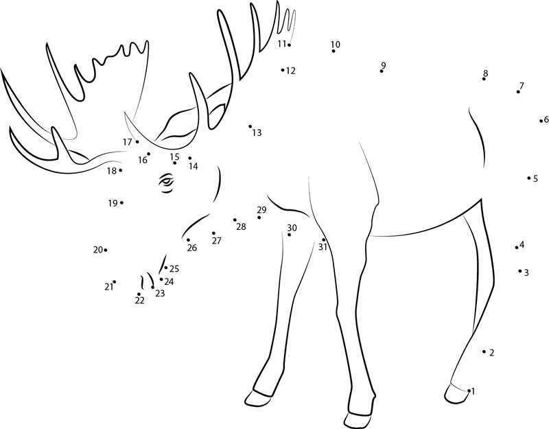 Moose Looking Down dot to dot worksheets