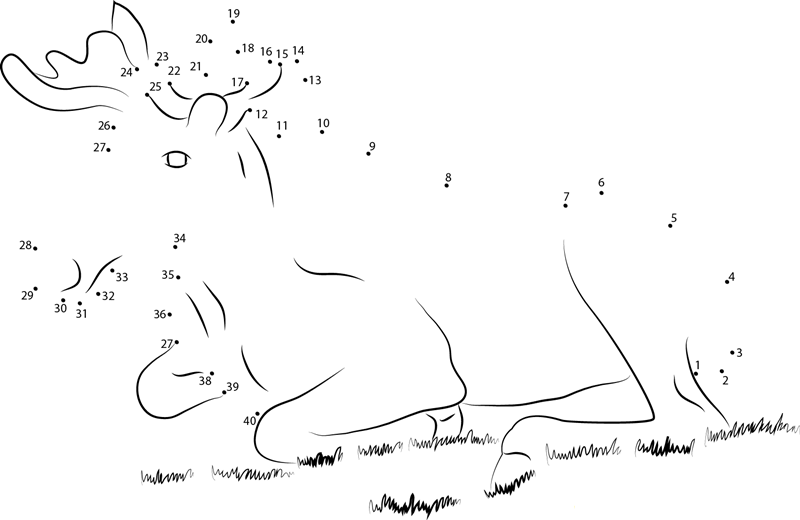 Moose Sitting In Grass dot to dot worksheets