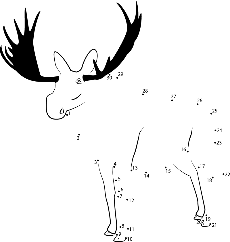 Poudre Canyon Moose printable dot to dot worksheet